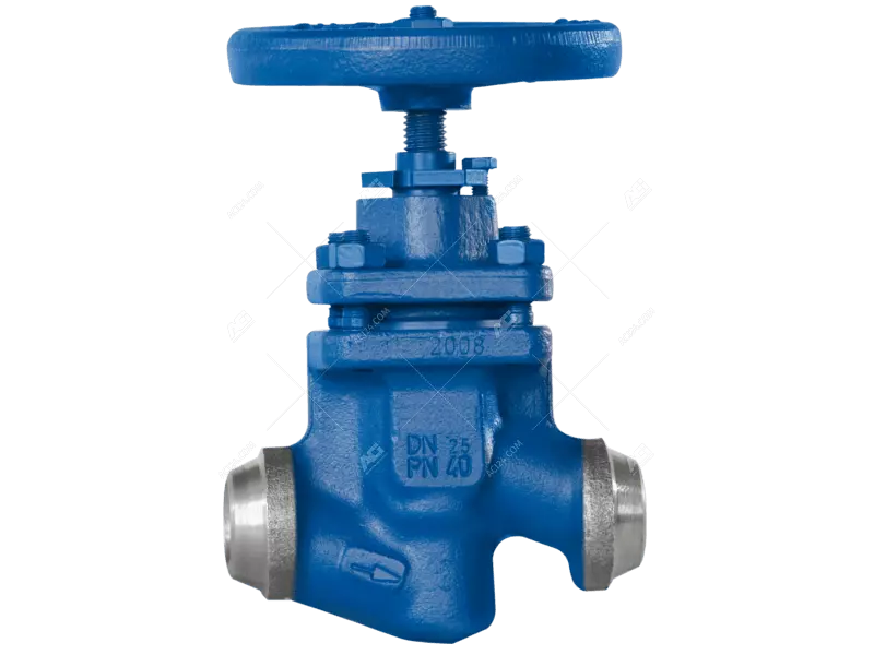 Globe valves Type BOA-HE